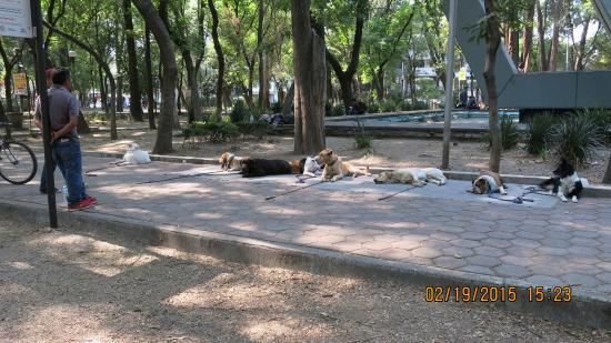 Parque Hundido